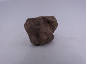 Ancient Pre Columbian Terracotta Head  Statue Figure