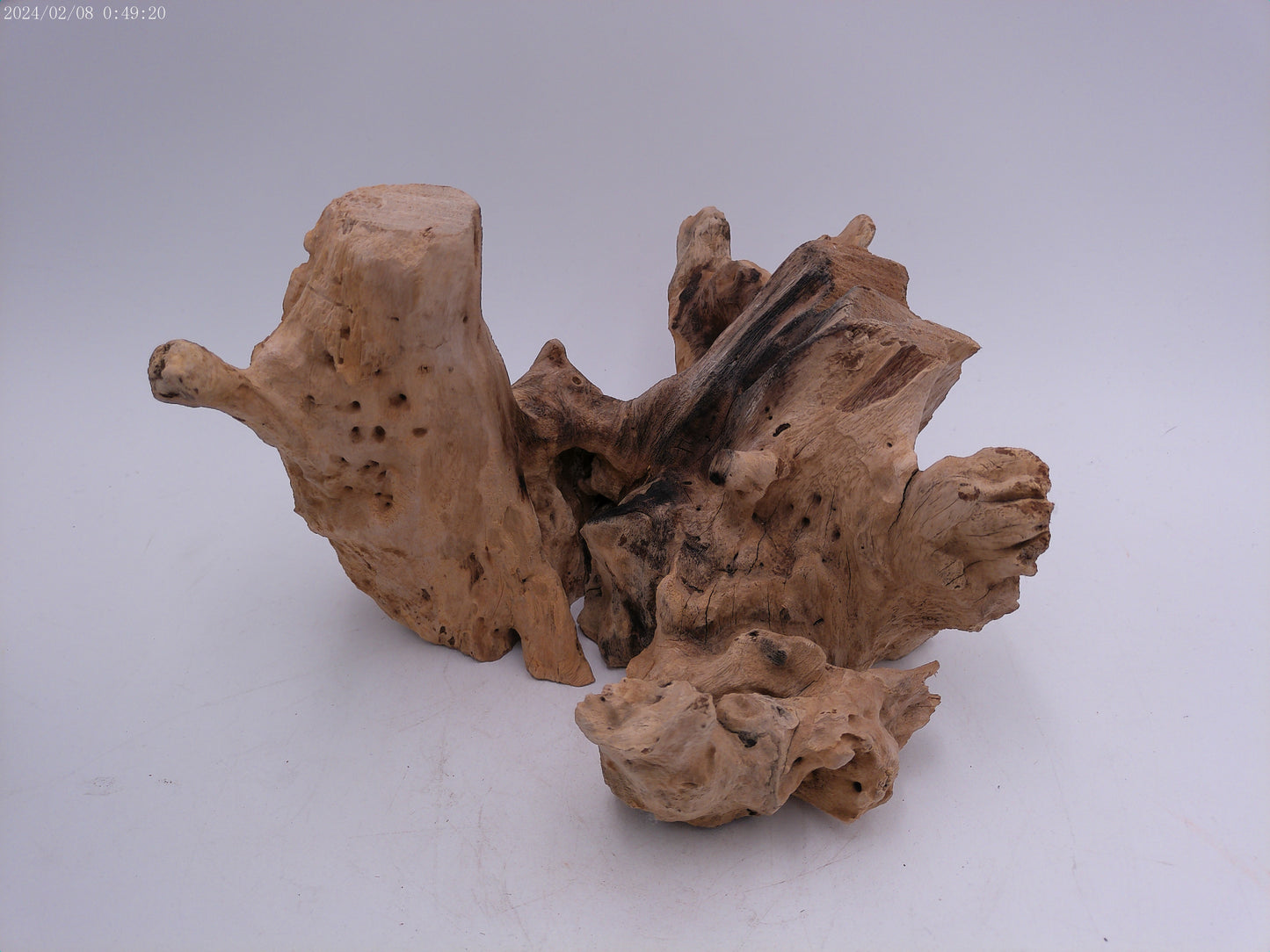 Clear Glass On Teak Driftwood Base Decorative Bowl Vase