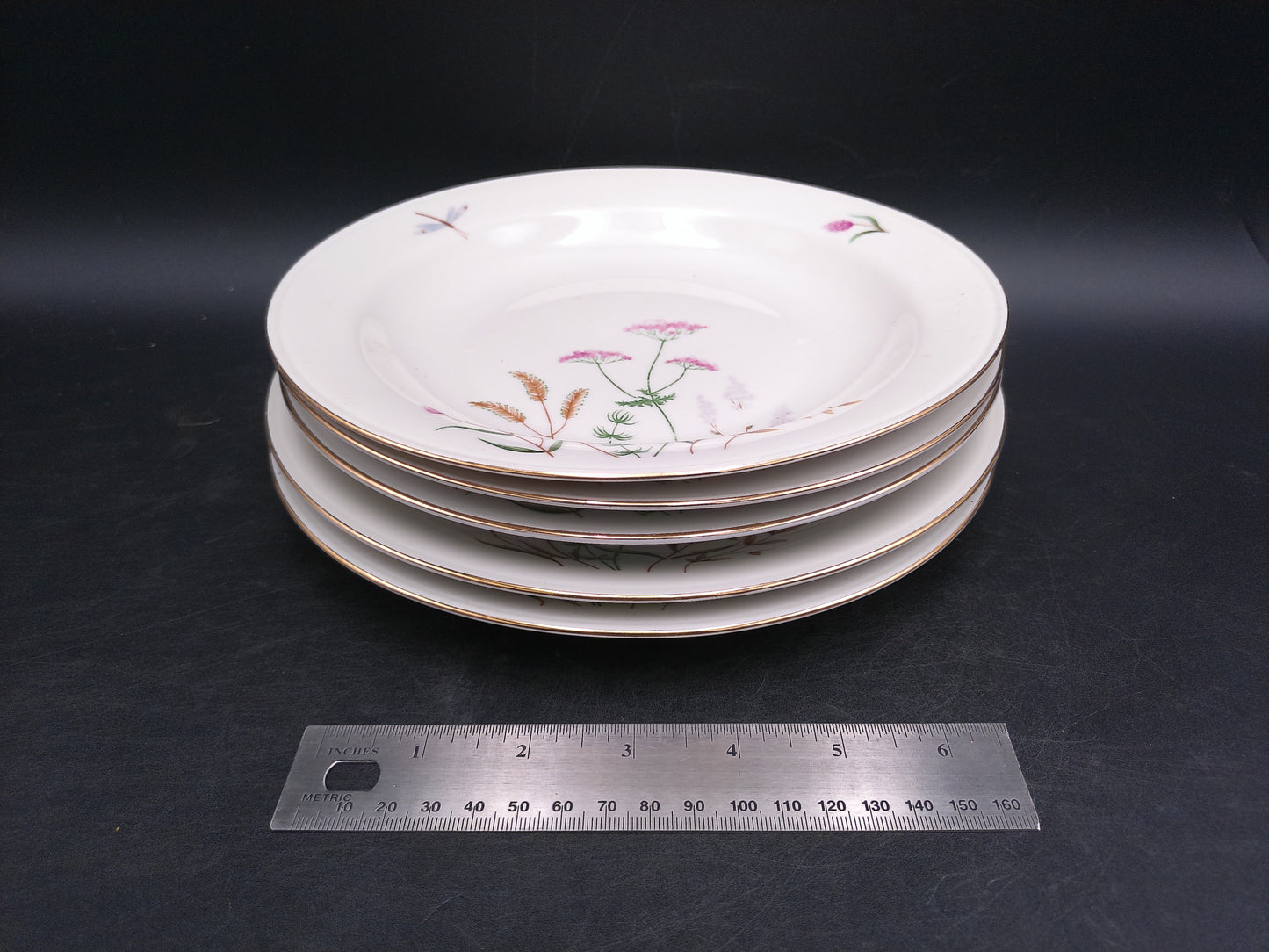 Gold Rim 5 Plates  Bavaria Elfenbein Porzellan Brand Plates Made in Germany