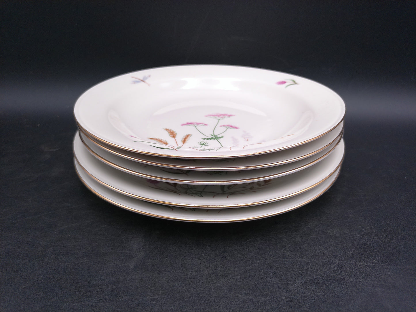 Gold Rim 5 Plates  Bavaria Elfenbein Porzellan Brand Plates Made in Germany