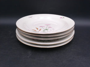 Gold Rim 5 Plates  Bavaria Elfenbein Porzellan Brand Plates Made in Germany