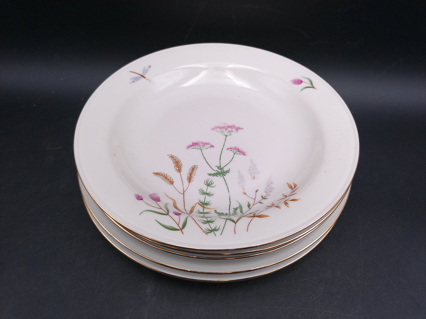 Gold Rim 5 Plates  Bavaria Elfenbein Porzellan Brand Plates Made in Germany