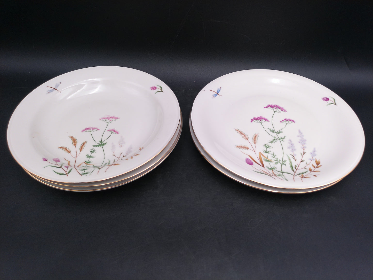 Gold Rim 5 Plates  Bavaria Elfenbein Porzellan Brand Plates Made in Germany