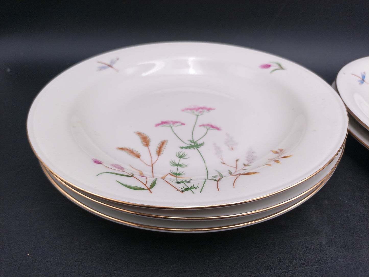 Gold Rim 5 Plates  Bavaria Elfenbein Porzellan Brand Plates Made in Germany