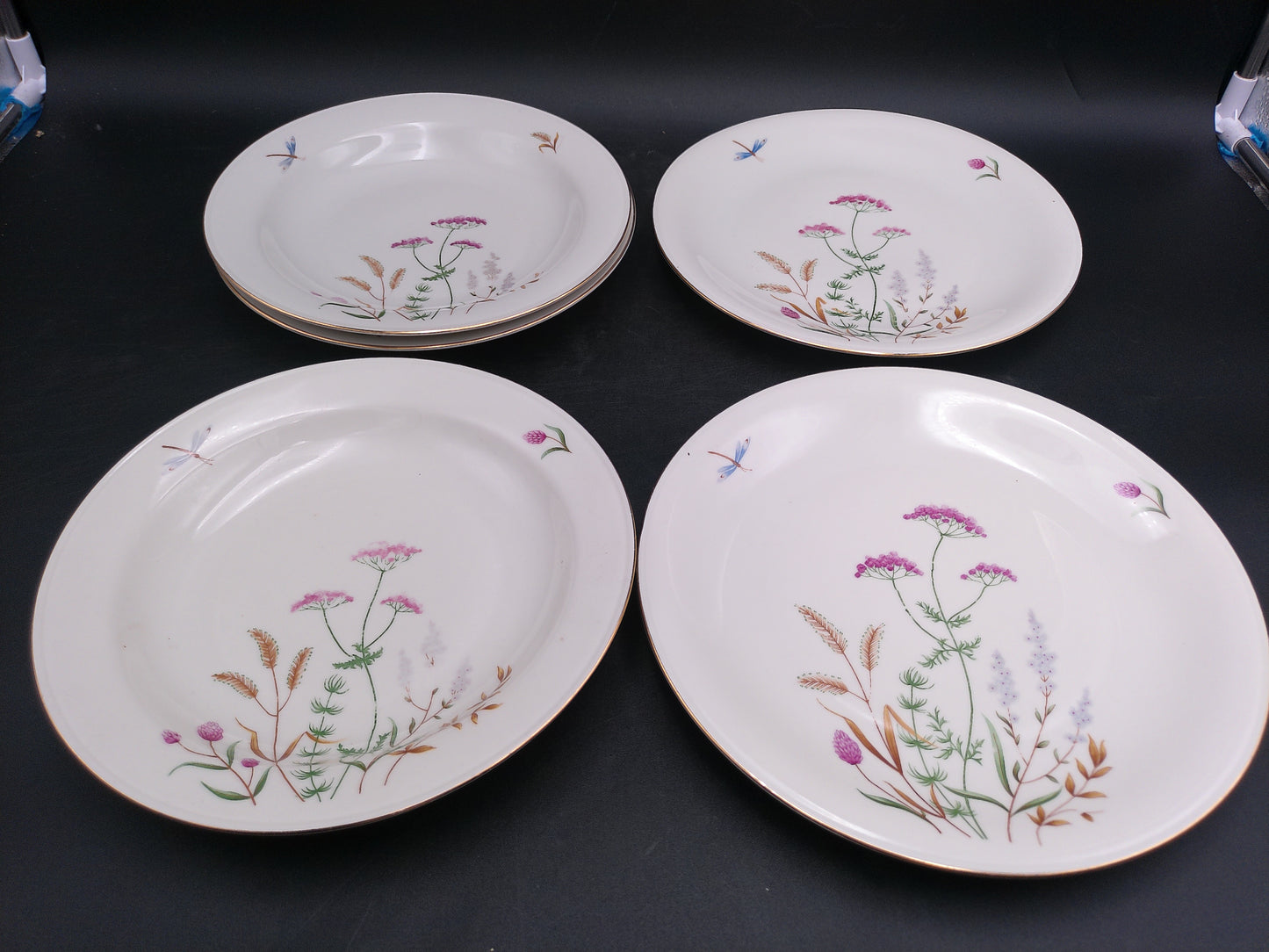 Gold Rim 5 Plates  Bavaria Elfenbein Porzellan Brand Plates Made in Germany