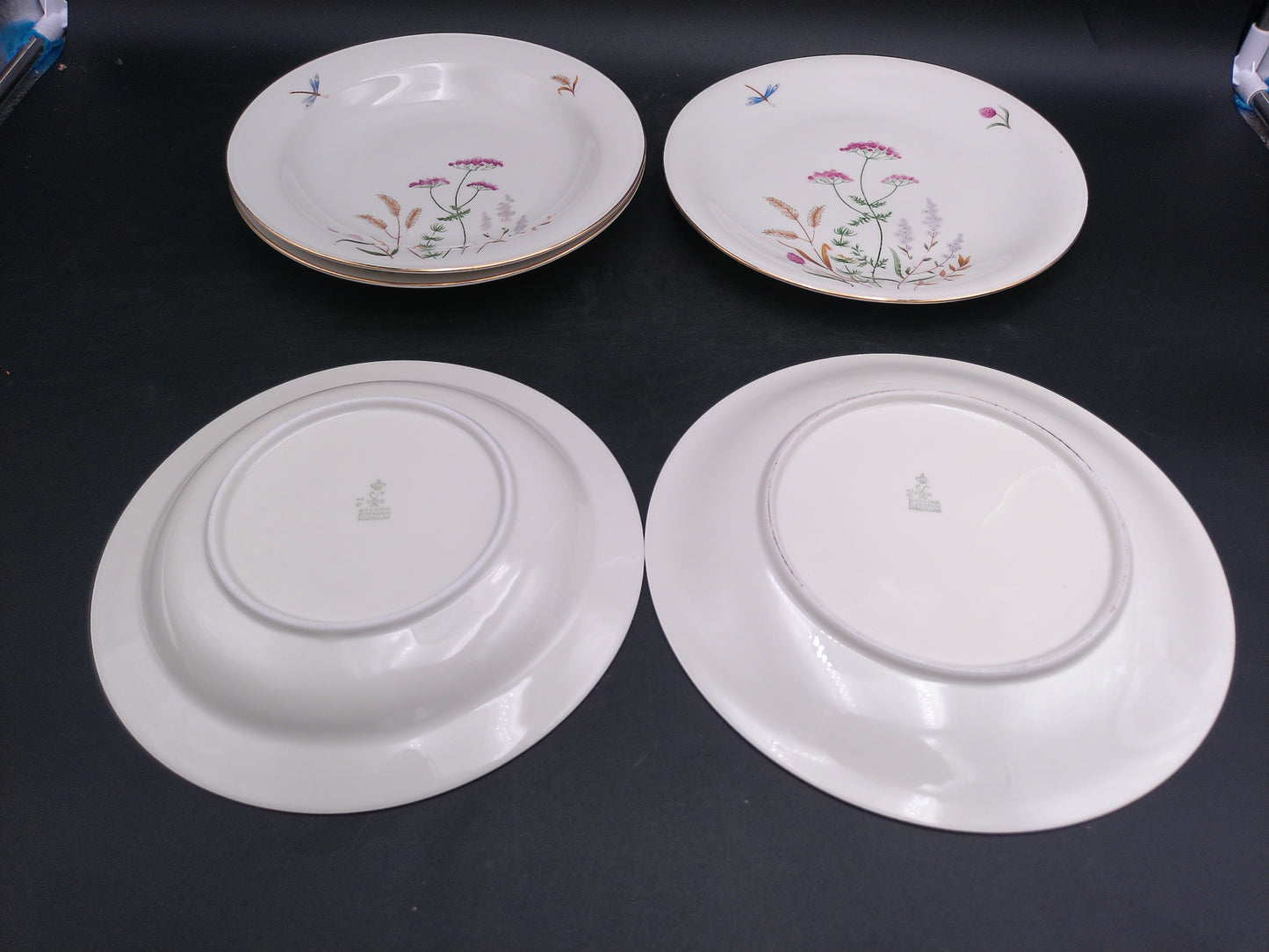 Gold Rim 5 Plates  Bavaria Elfenbein Porzellan Brand Plates Made in Germany