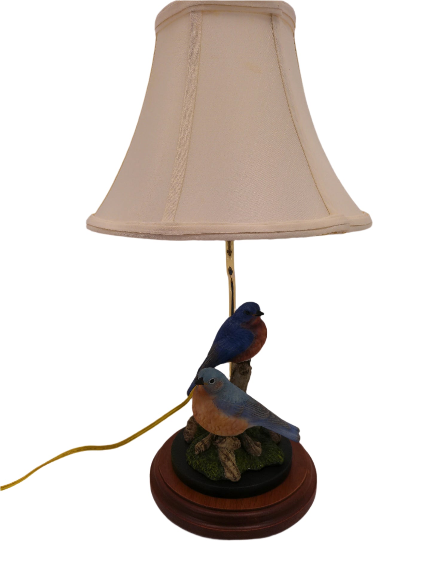 Lamp with two beautiful Blue Birds  on Tree limb
