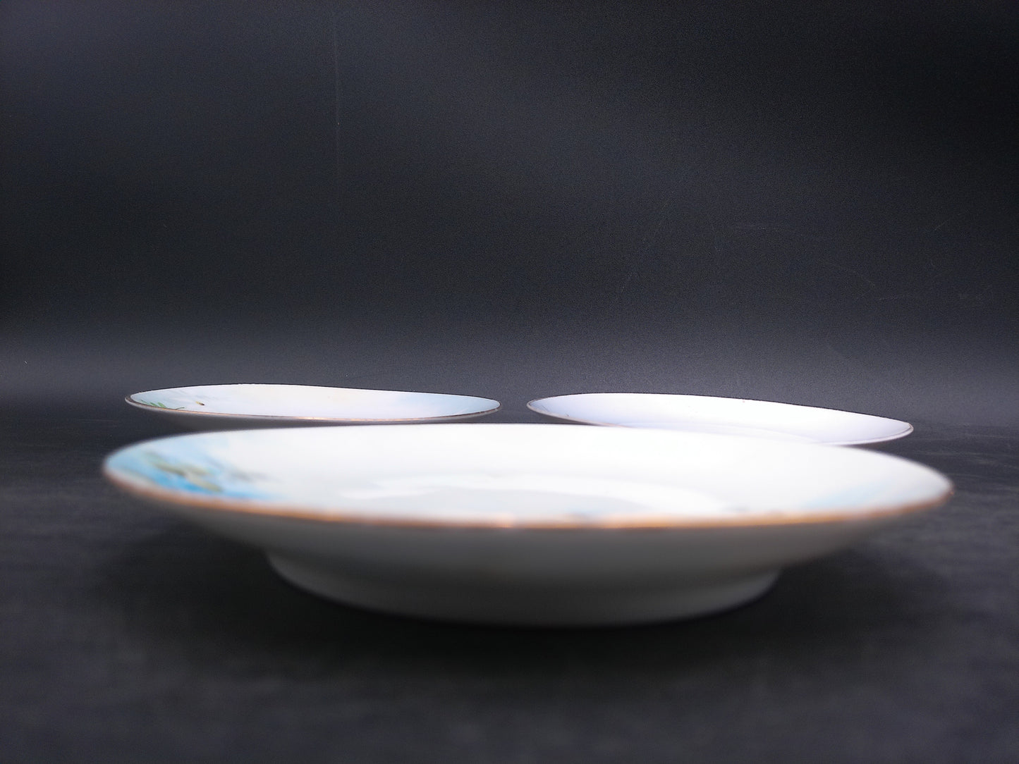 Porcelain Plate w/ Painted White Flowers From Bavaria Gold Rim 3 brands