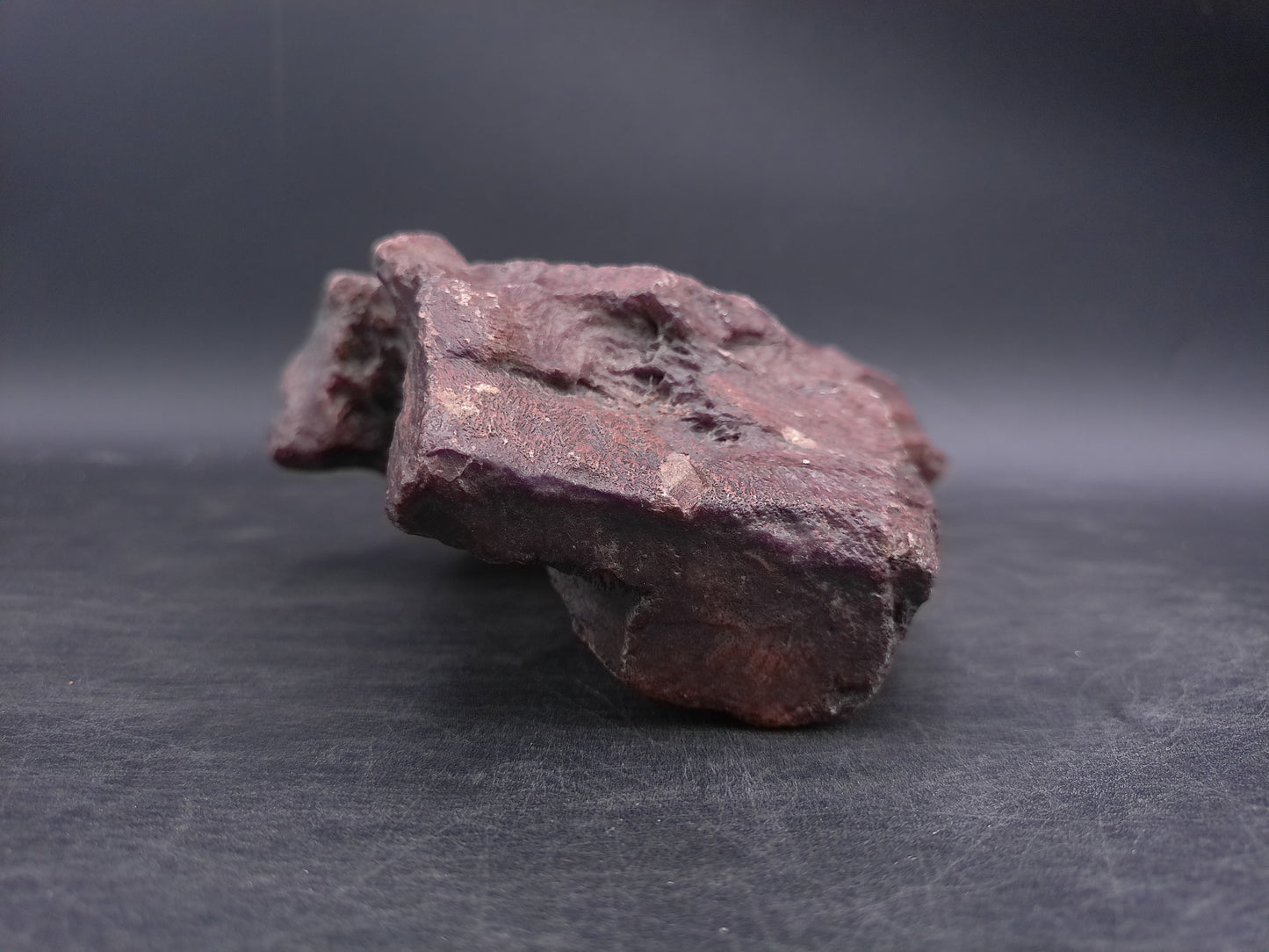 Petrified Wood beautiful Brown Colors