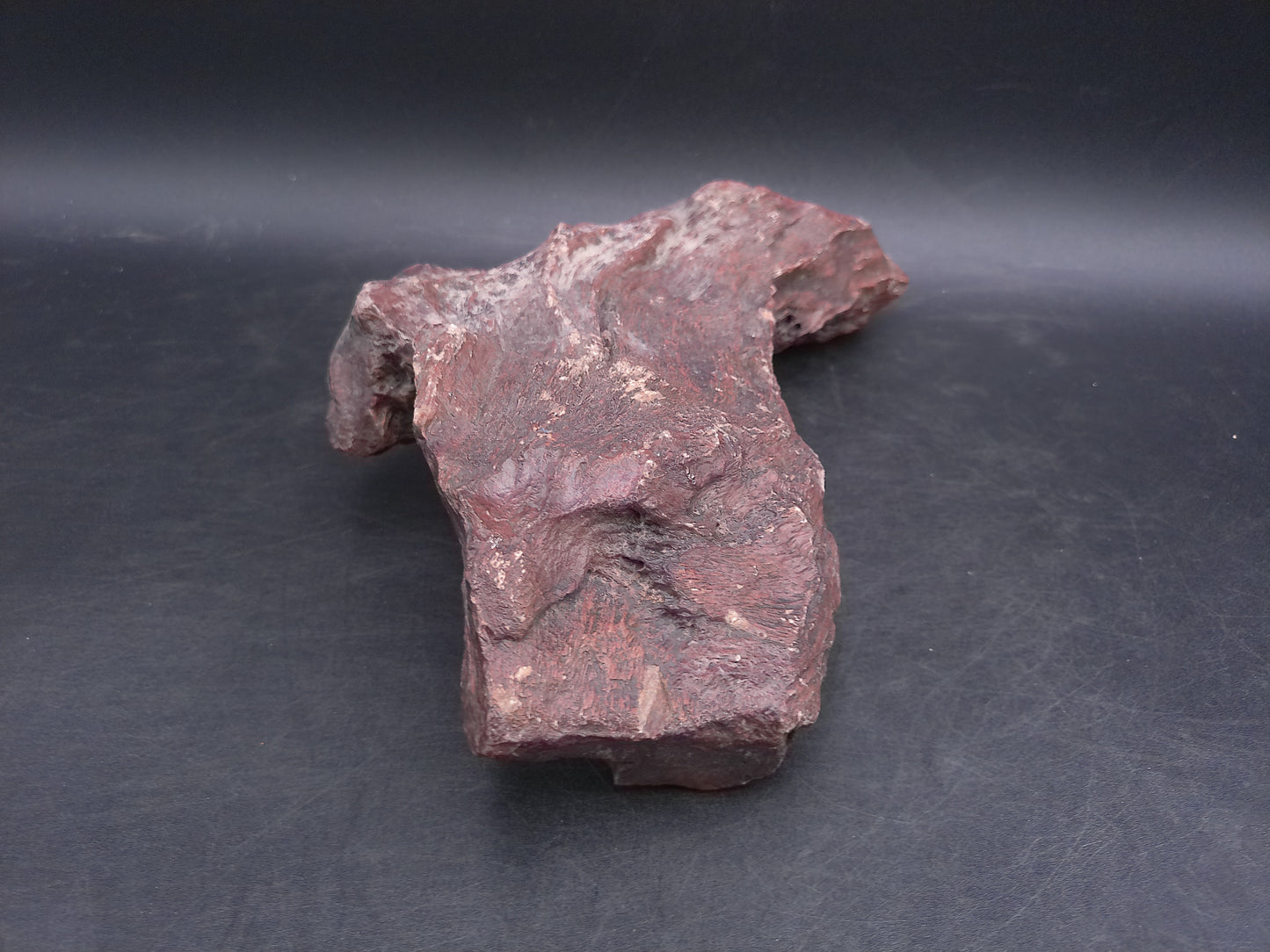 Petrified Wood beautiful Brown Colors