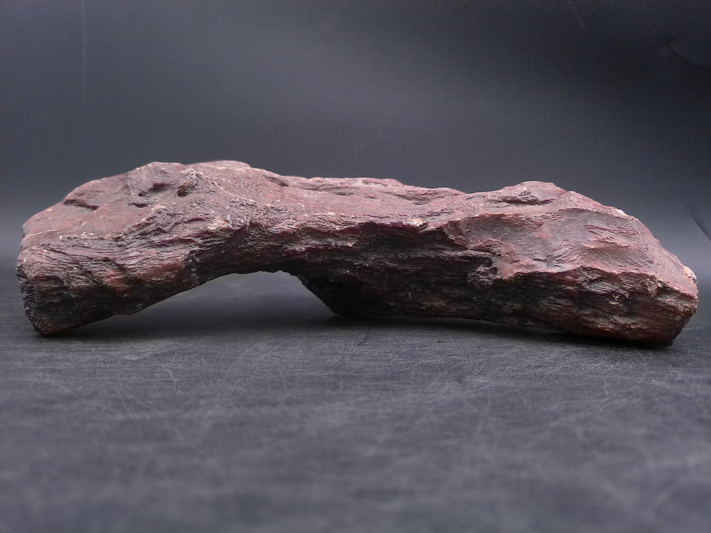 Petrified Wood beautiful Brown Colors