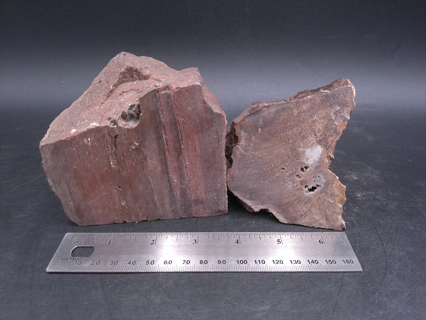 Petrified Wood  tone Unique Color and Design Could ve used as book ends