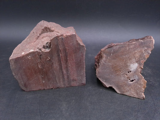 Petrified Wood  tone Unique Color and Design Could ve used as book ends
