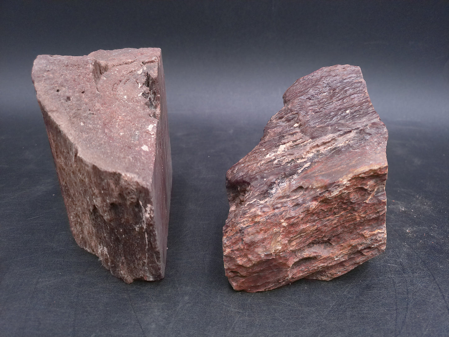 Petrified Wood  tone Unique Color and Design Could ve used as book ends