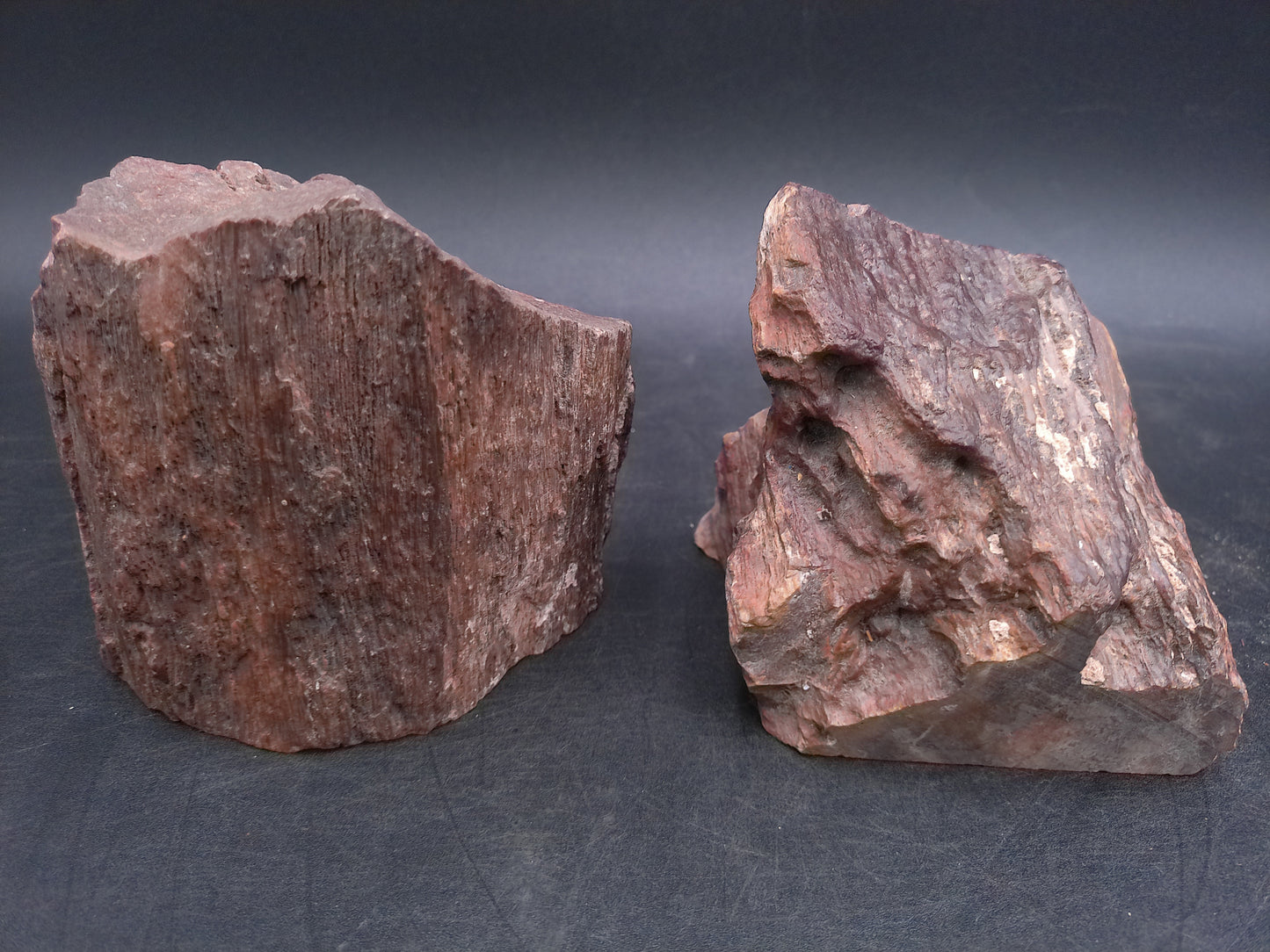 Petrified Wood  tone Unique Color and Design Could ve used as book ends