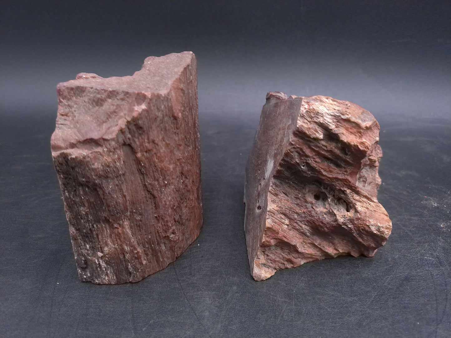Petrified Wood  tone Unique Color and Design Could ve used as book ends