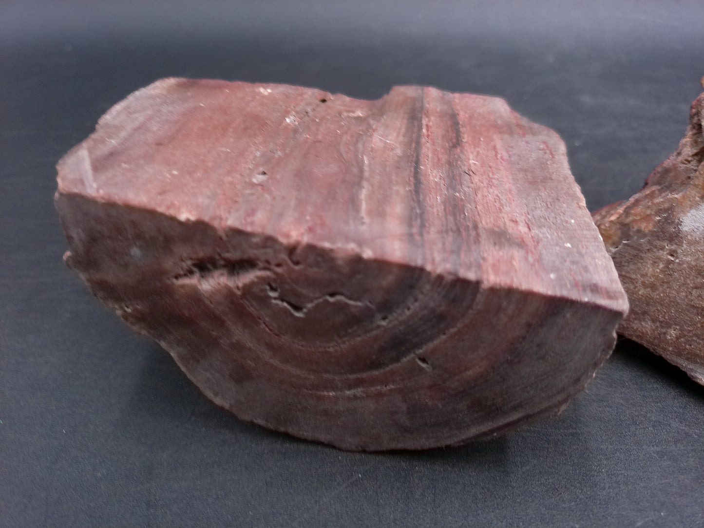 Petrified Wood  tone Unique Color and Design Could ve used as book ends