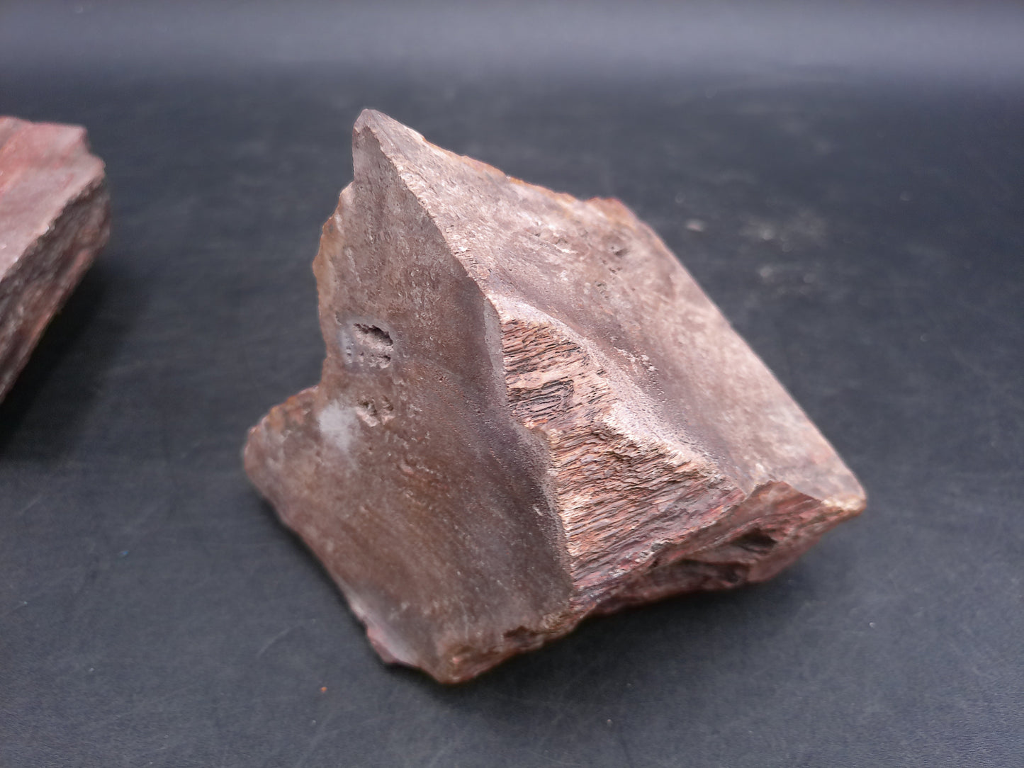 Petrified Wood  tone Unique Color and Design Could ve used as book ends