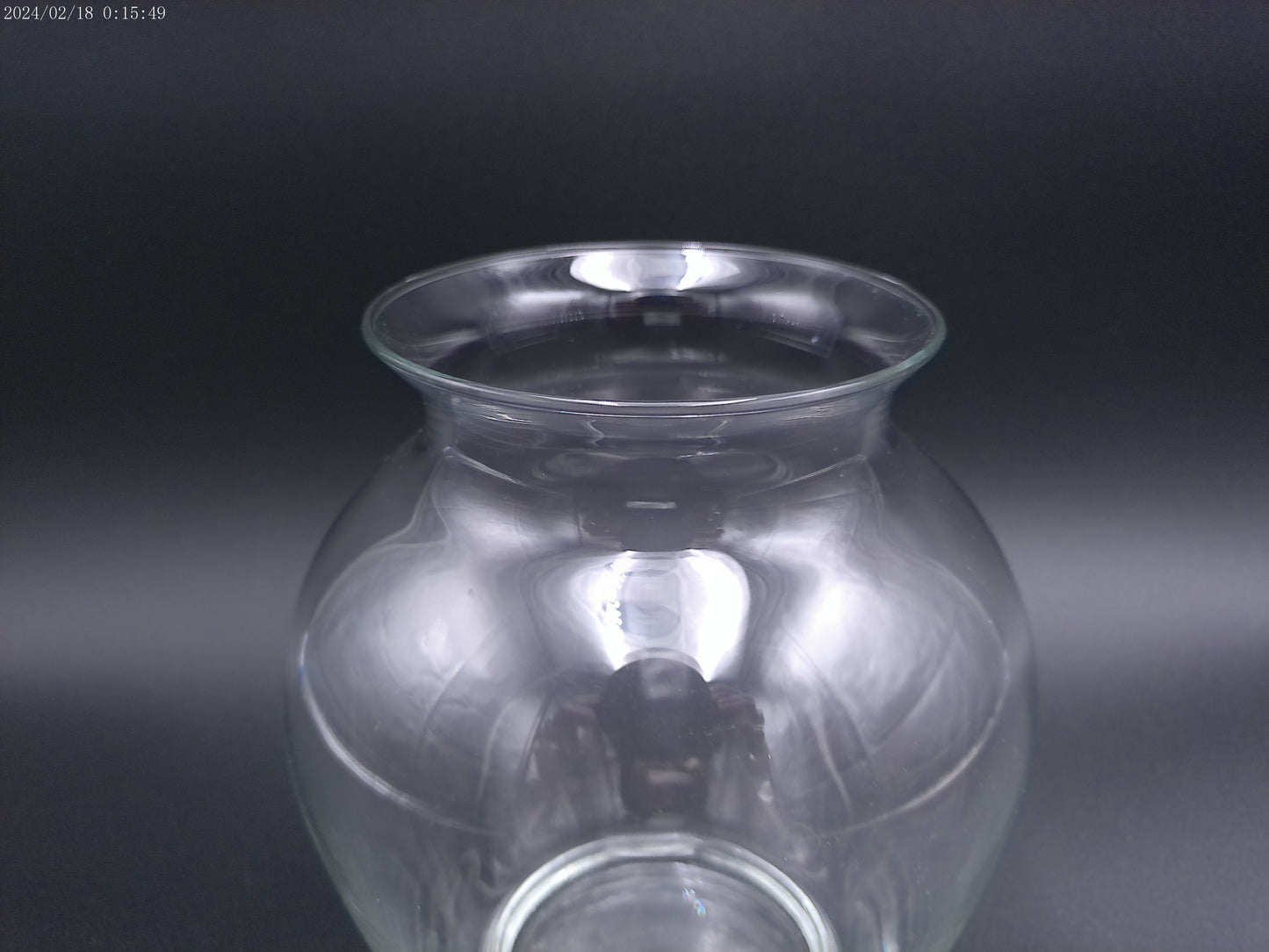 Clear glass vase is designed in a round bubble style,