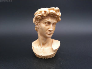 David by Michelangelo Head Bust Resin