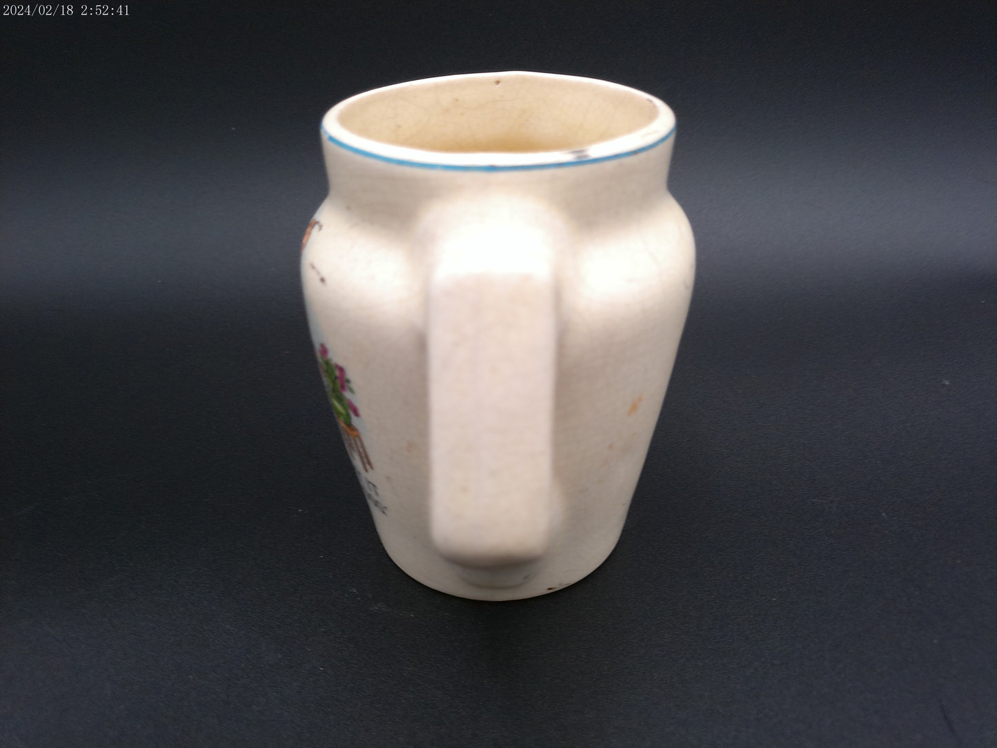 Water pitcher "try it on the dog" picture