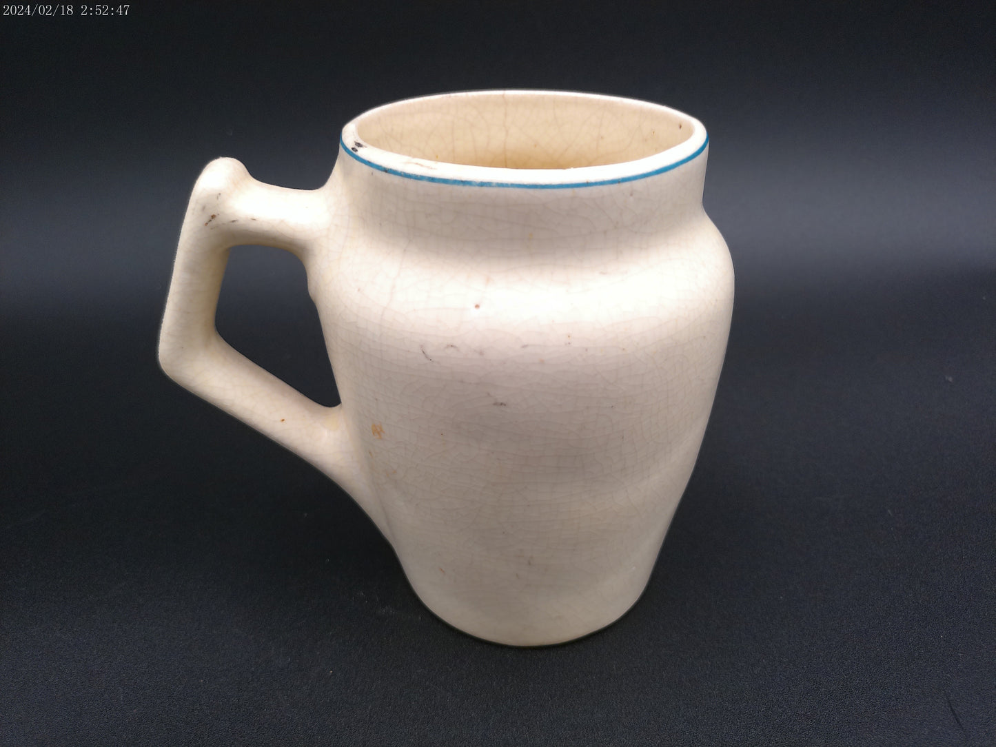 Water pitcher "try it on the dog" picture