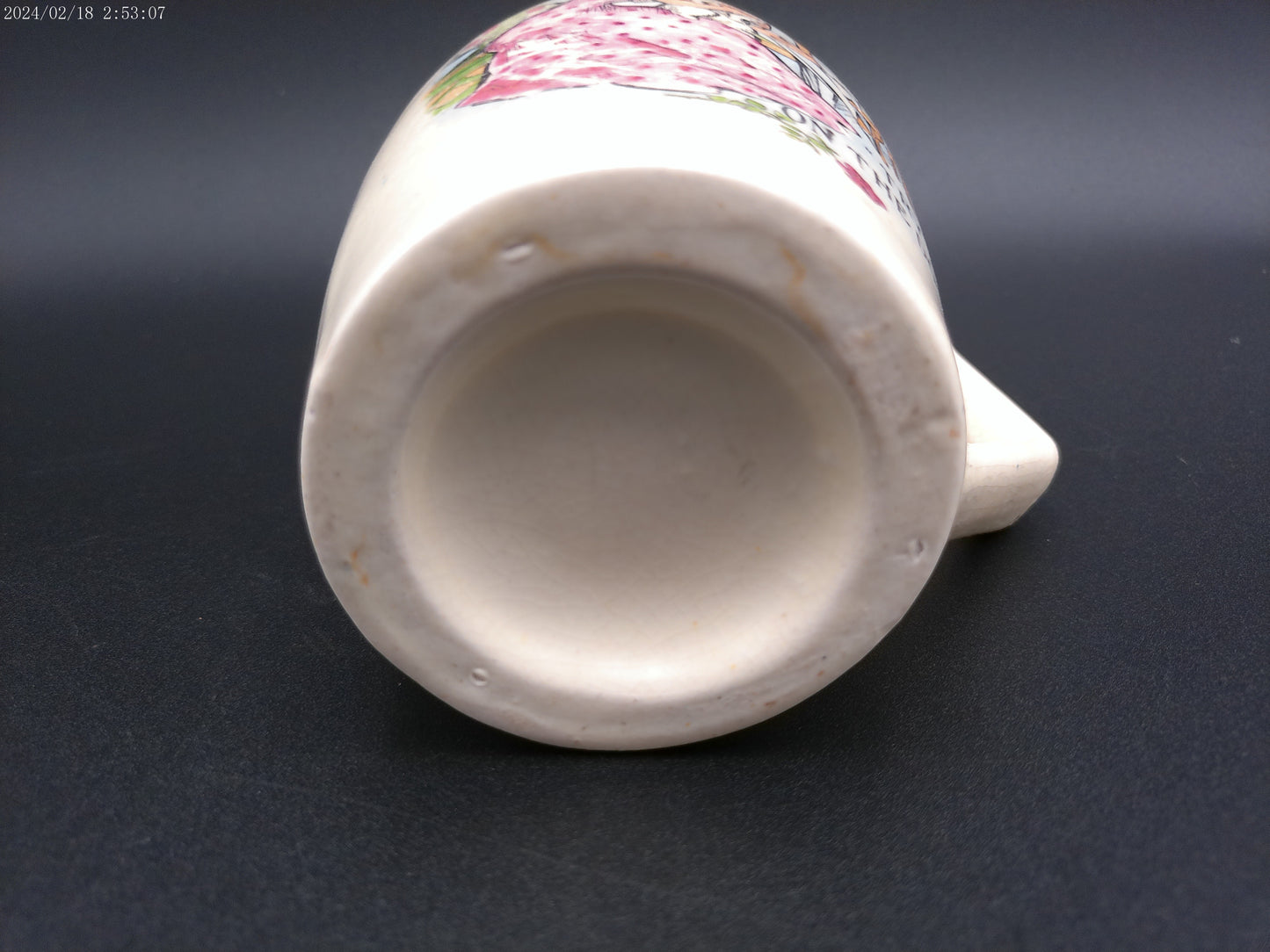 Water pitcher "try it on the dog" picture