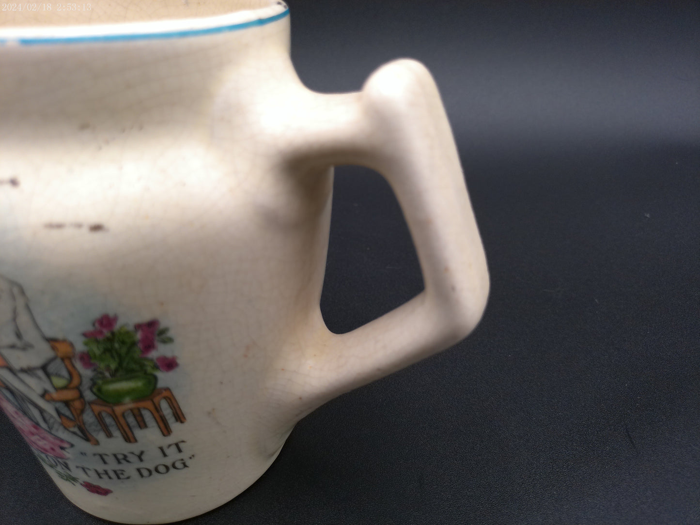 Water pitcher "try it on the dog" picture