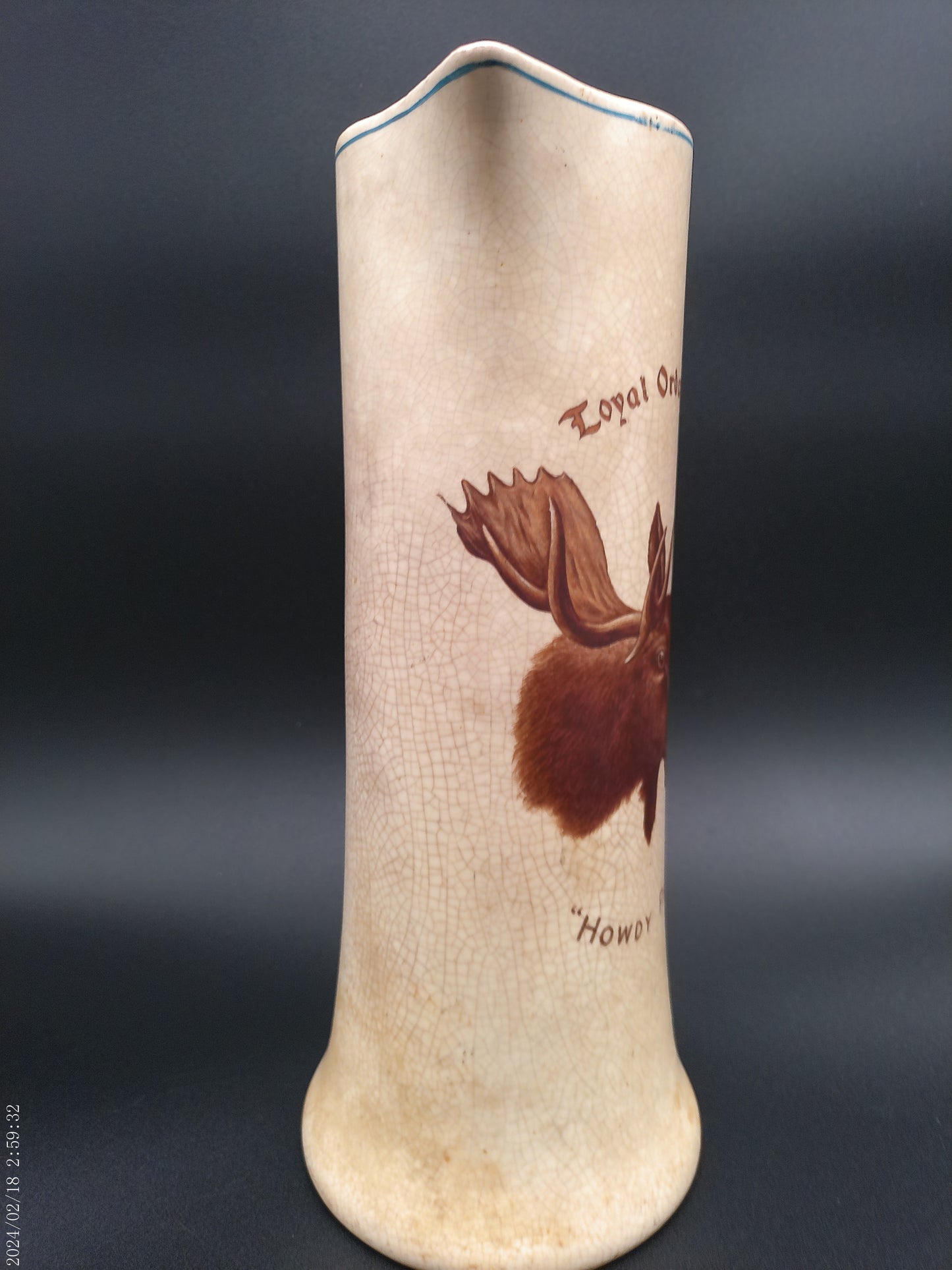 Local order of the Moose pitcher  vintage