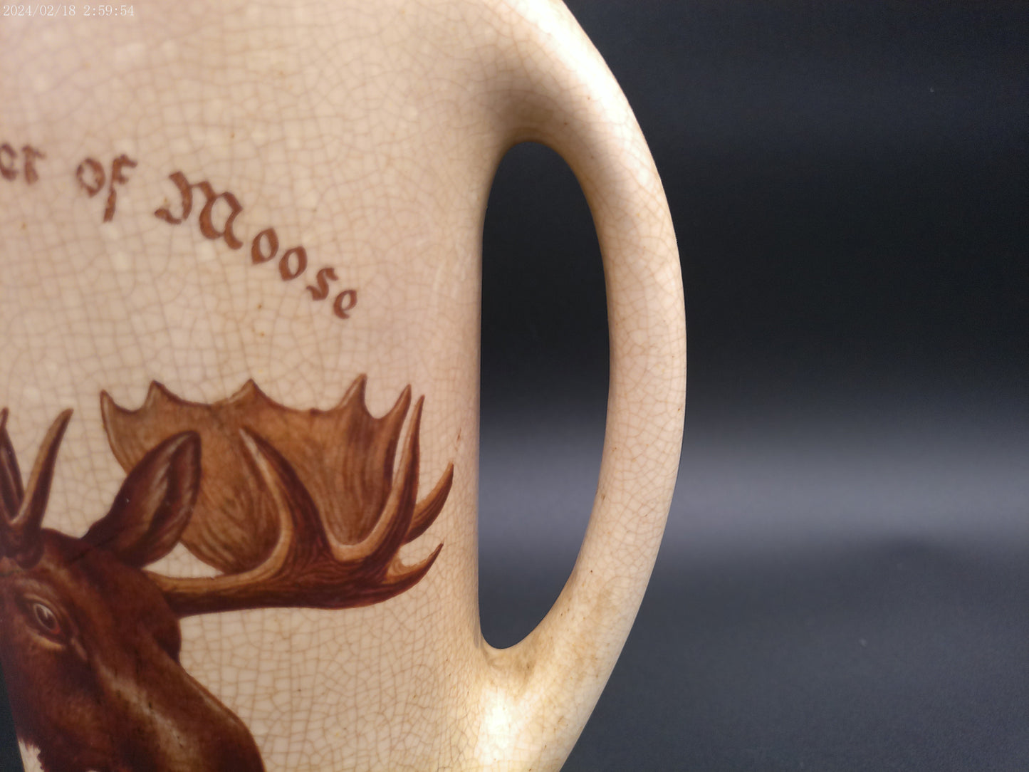 Local order of the Moose pitcher  vintage