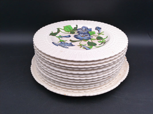 Stack of Plates Cauldon Flowers Series 2481   Flower Designs  (9.5 In.) England