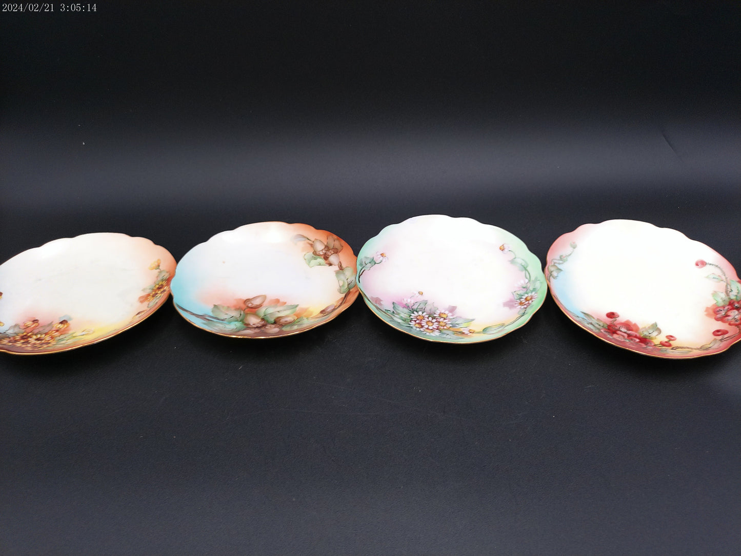 CT Altwasser  Porcelain Plate ~ Qty 4 Hand Painted with Sunny Daisy Flowers