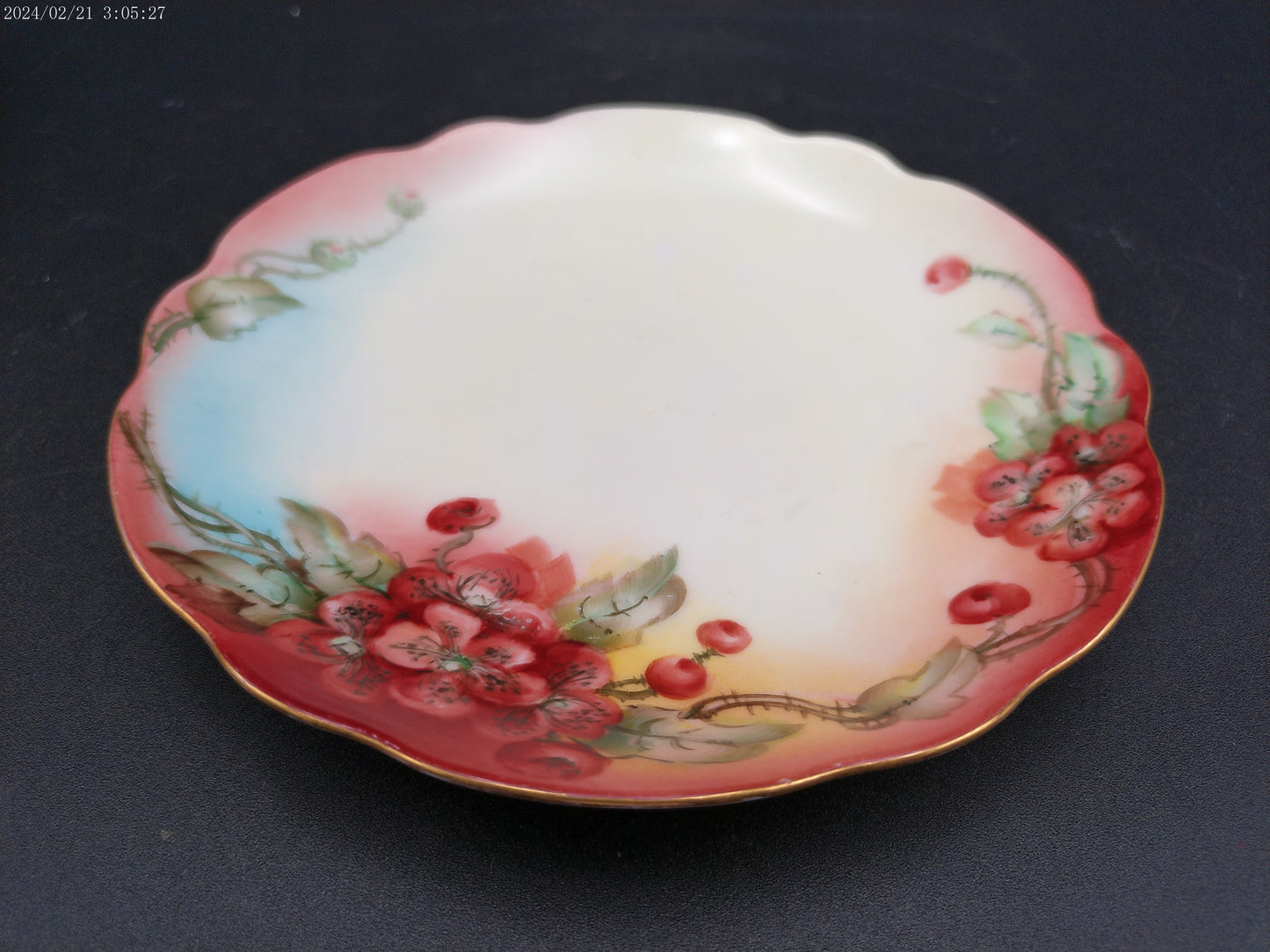 CT Altwasser  Porcelain Plate ~ Qty 4 Hand Painted with Sunny Daisy Flowers