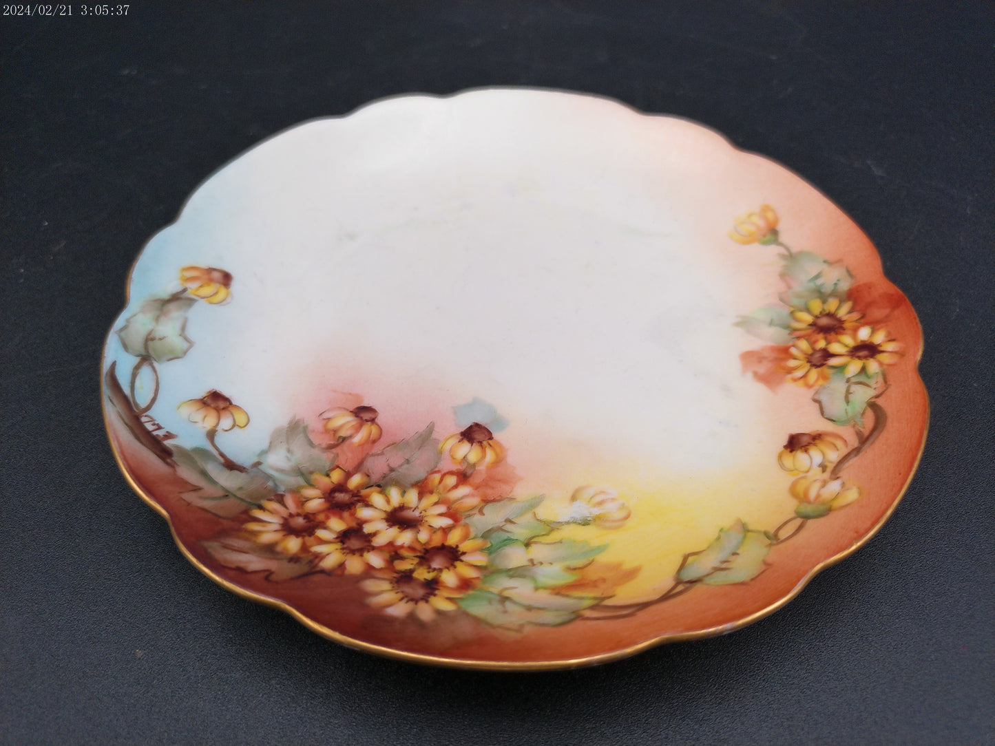 CT Altwasser  Porcelain Plate ~ Qty 4 Hand Painted with Sunny Daisy Flowers