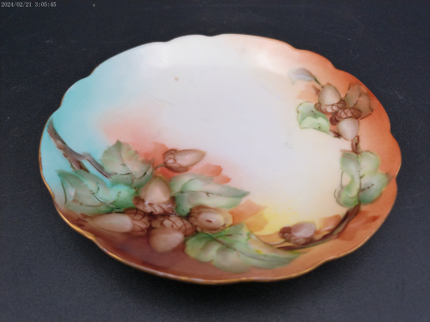 CT Altwasser  Porcelain Plate ~ Qty 4 Hand Painted with Sunny Daisy Flowers