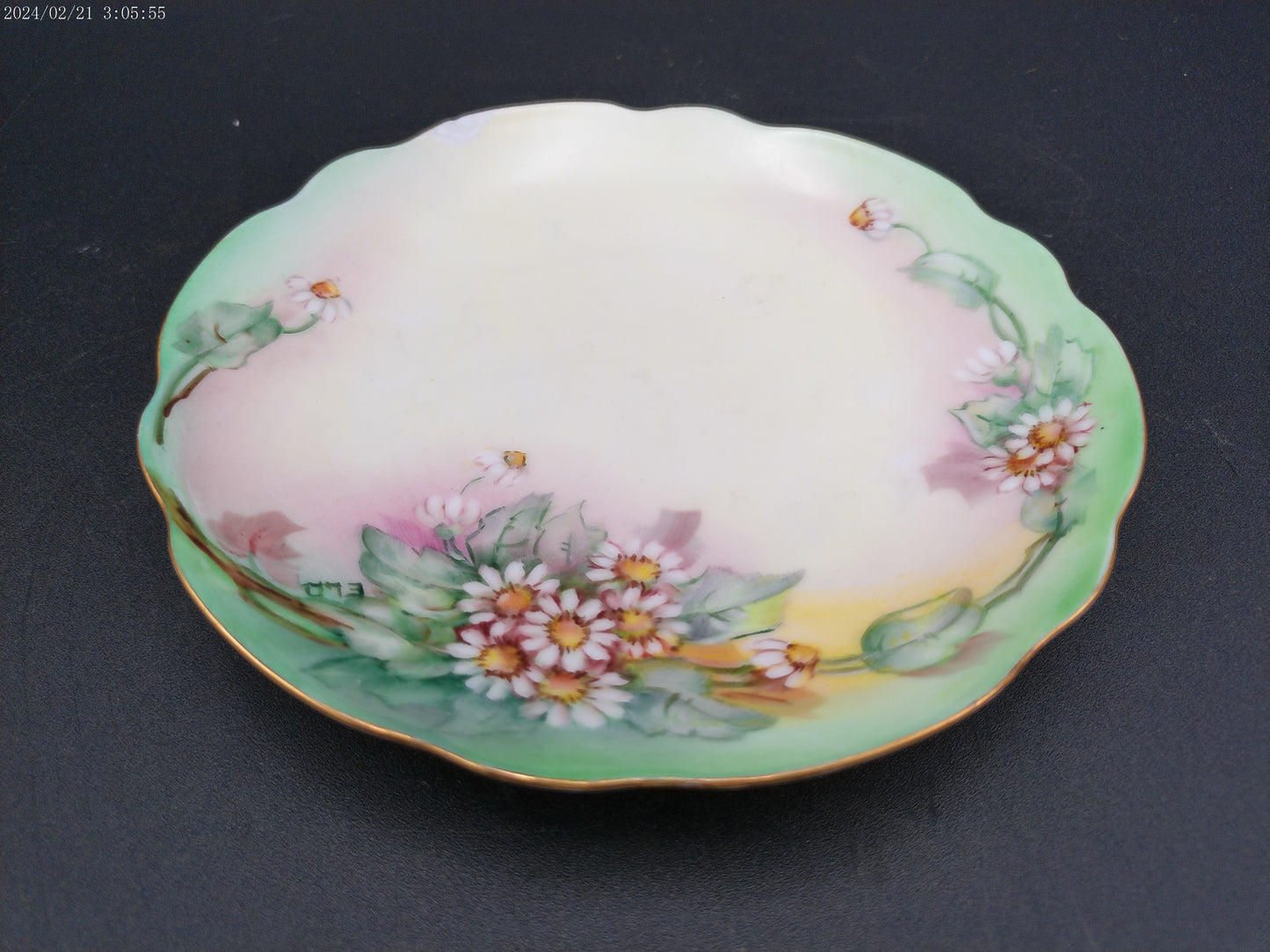 CT Altwasser  Porcelain Plate ~ Qty 4 Hand Painted with Sunny Daisy Flowers