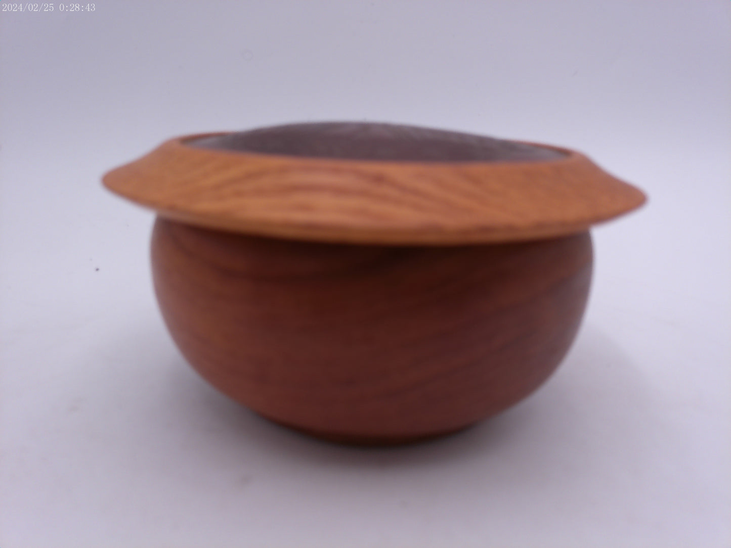 Round turned Wood Trinket Box craved sea wolf  design on lid