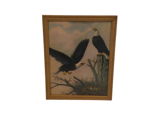 Art Painting Eagle Parents Protecting their Eggs Wood Framed