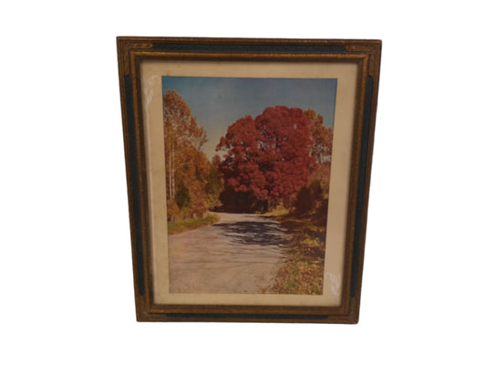 Art Countryside Road  print  with fall tree colors framed