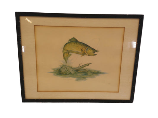 Art Clark Bronson Utah Wildlife Artist Framed Matted Print Trout 1969  Print