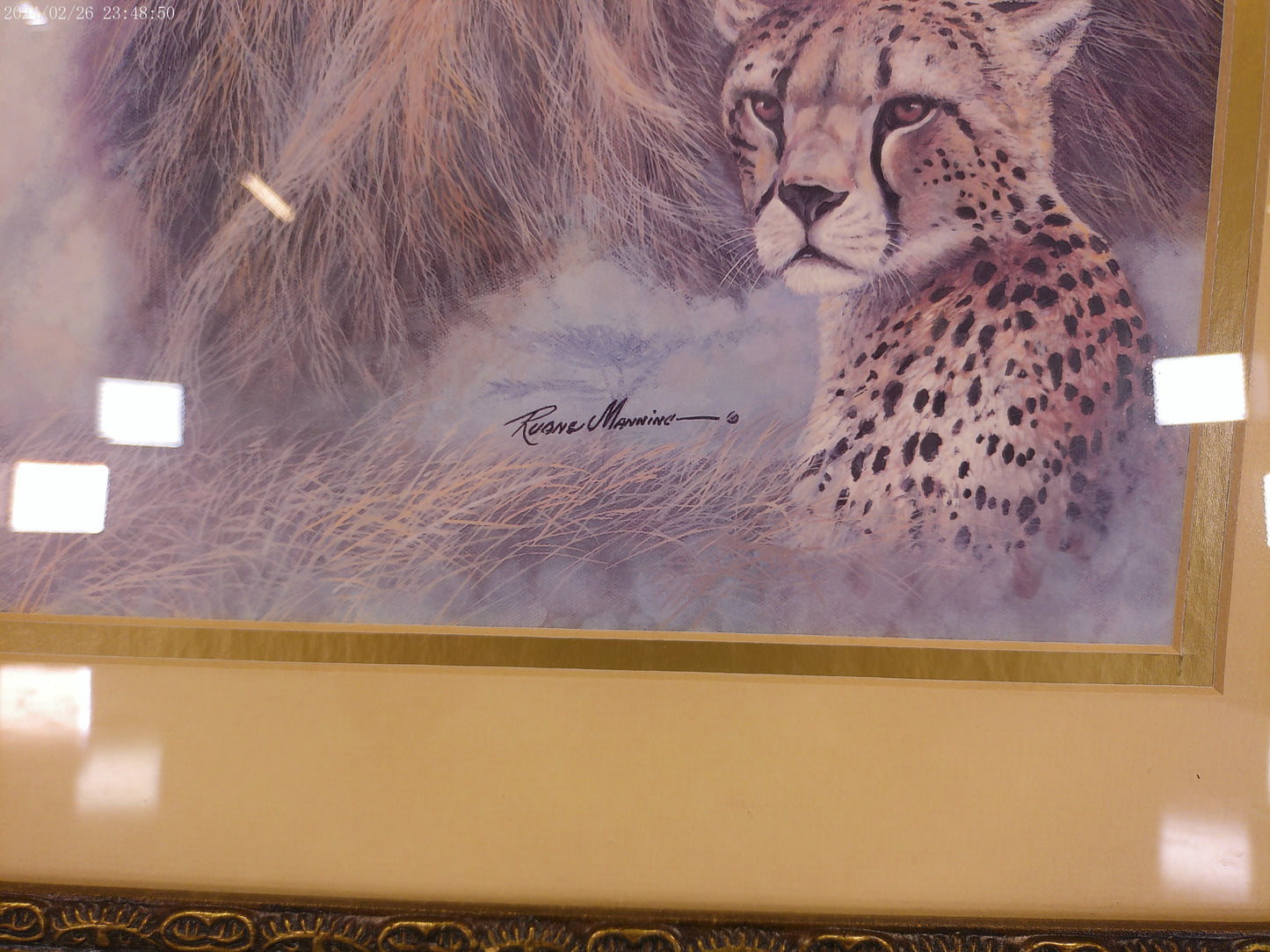 Art  Lion Large cats - beautifully framed signed print Ruane Manning