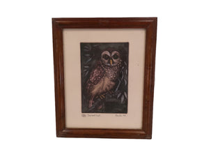 Art Barn Owl by Jack Coutu Signed Print  Limited Edition  Etching