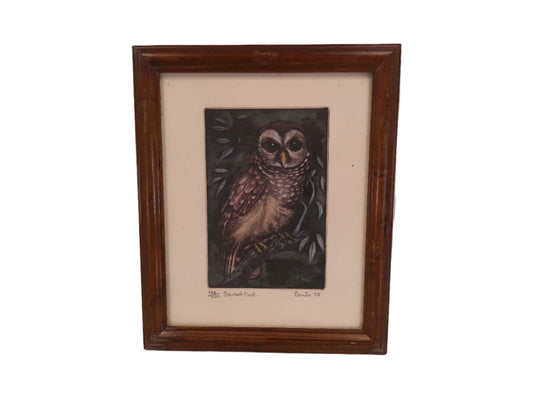Art Barn Owl by Jack Coutu Signed Print  Limited Edition  Etching