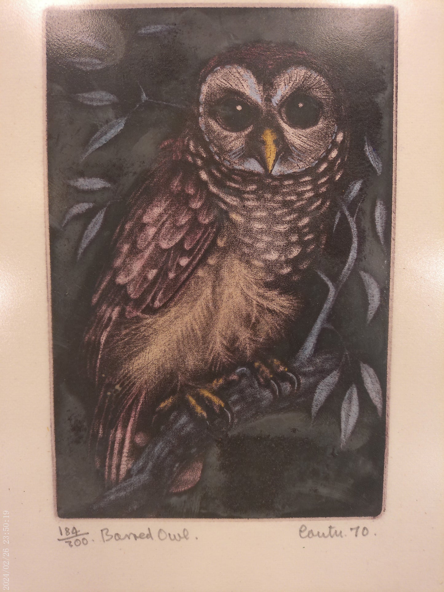 Art Barn Owl by Jack Coutu Signed Print  Limited Edition  Etching