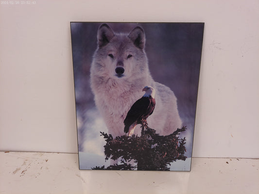 Art Grey Wolf and American Bald Eagle Wildlife Art Print 16x20