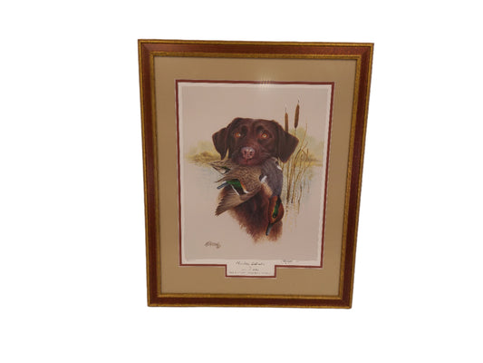 Art James Killen Chocolate Lab Open Edition Dog Hunting Art Signed Print