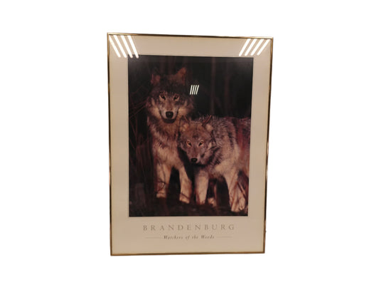 Art Print Wolfs "Brandenburg Watchers of the Woods"  Metal Framed with glass