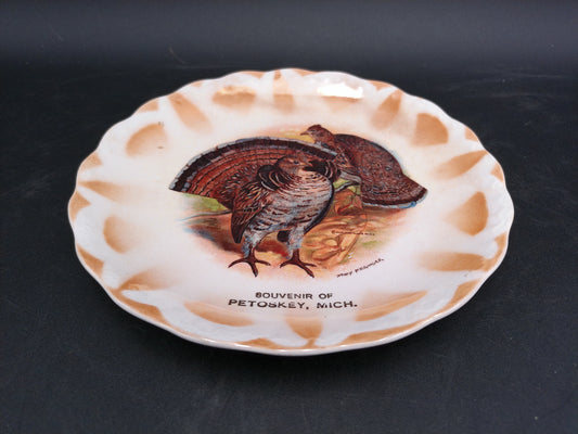 Turkey Plate Dish Petoskey Michigan Made by East Liverpool Co.