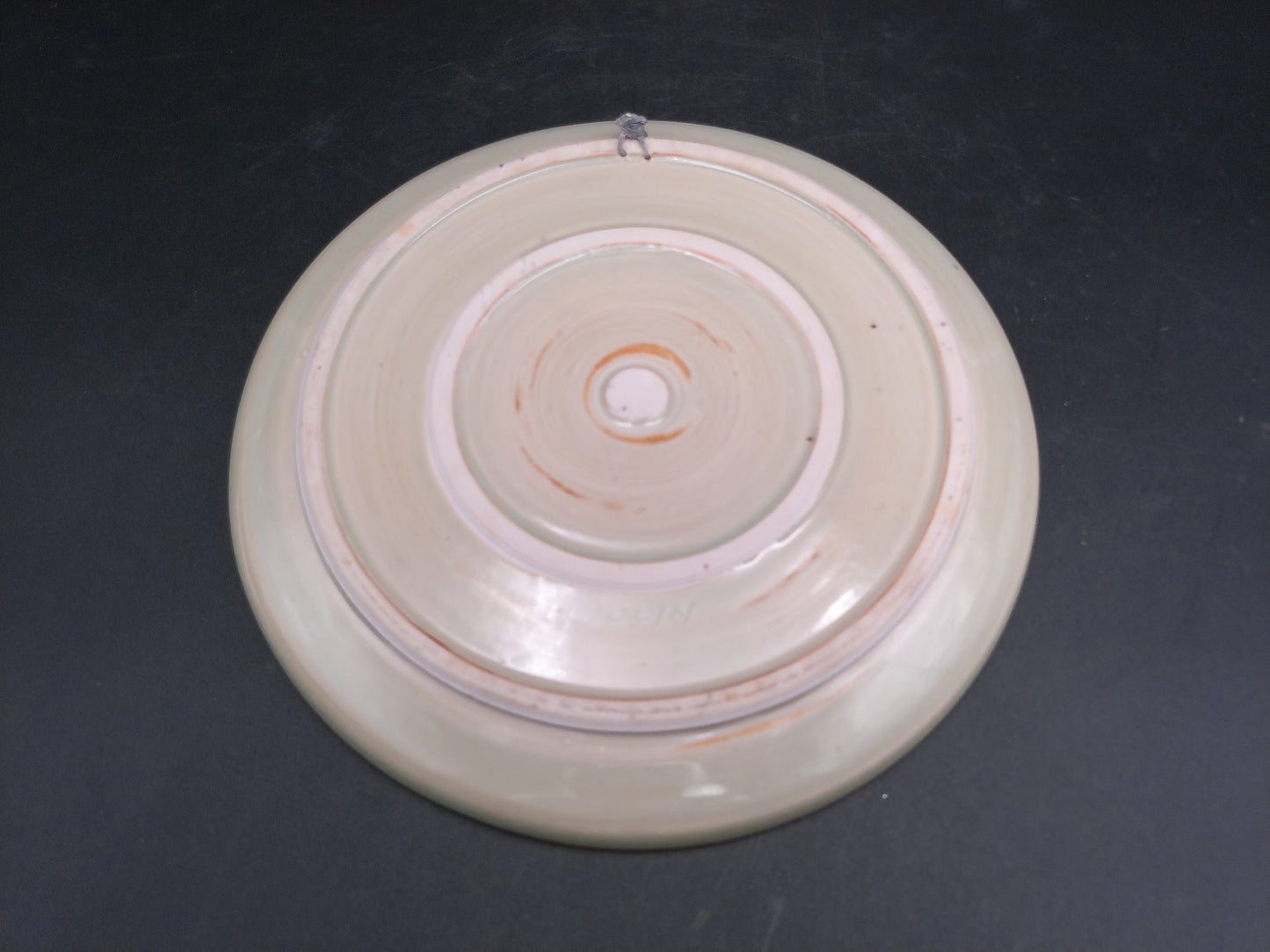Decorative Plate By C Carolyn Dulin Metamora, Michigan